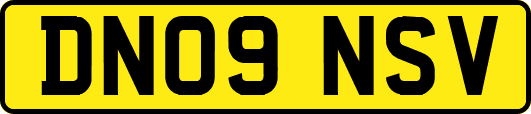 DN09NSV