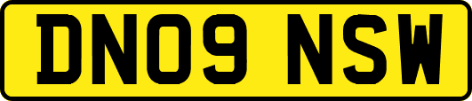 DN09NSW