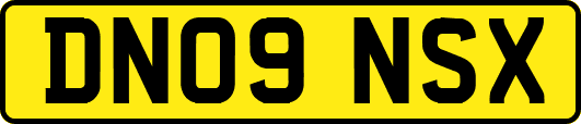 DN09NSX