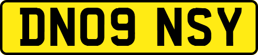 DN09NSY