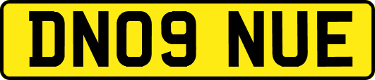 DN09NUE