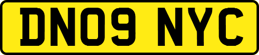 DN09NYC
