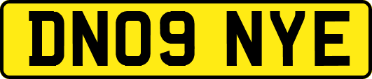 DN09NYE