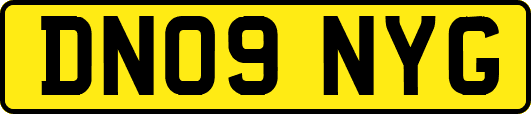 DN09NYG