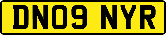 DN09NYR
