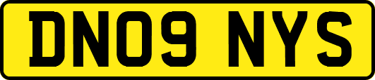 DN09NYS