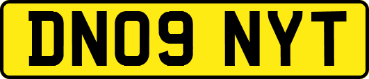 DN09NYT