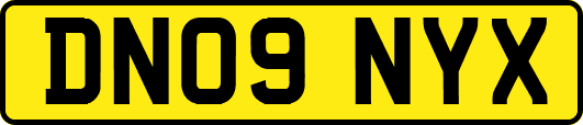 DN09NYX