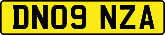 DN09NZA