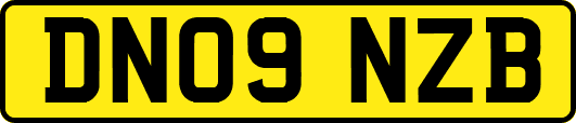 DN09NZB