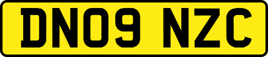 DN09NZC