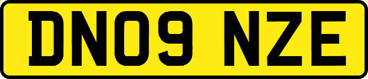 DN09NZE