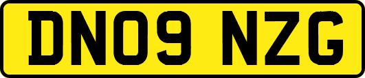 DN09NZG