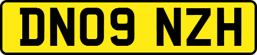 DN09NZH