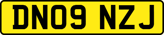 DN09NZJ