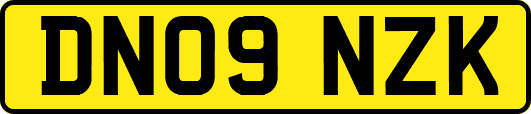 DN09NZK
