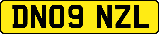 DN09NZL