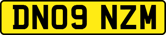 DN09NZM
