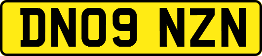DN09NZN