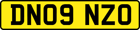 DN09NZO