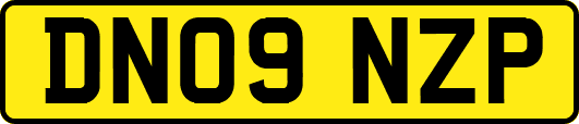 DN09NZP