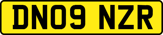DN09NZR