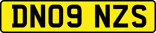 DN09NZS
