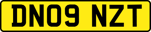 DN09NZT