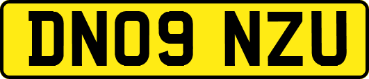 DN09NZU
