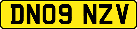 DN09NZV