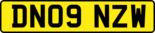 DN09NZW