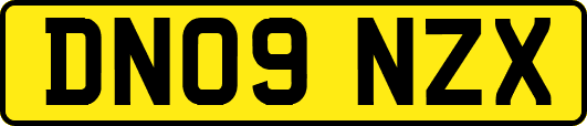 DN09NZX