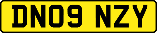 DN09NZY