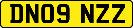 DN09NZZ