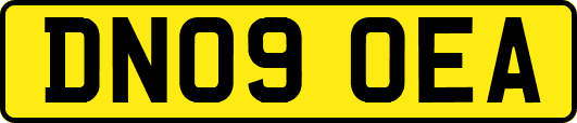 DN09OEA