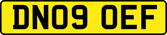 DN09OEF