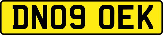 DN09OEK