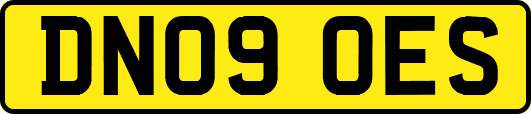 DN09OES