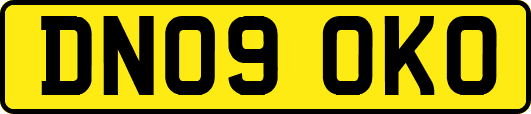 DN09OKO