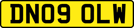 DN09OLW