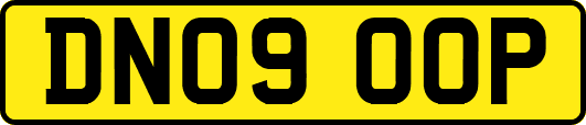 DN09OOP
