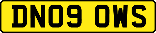 DN09OWS