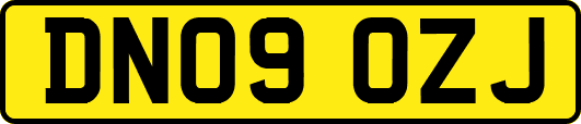 DN09OZJ