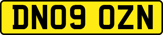 DN09OZN