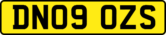 DN09OZS