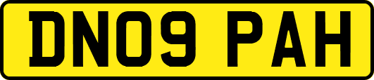 DN09PAH