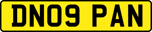 DN09PAN