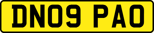 DN09PAO