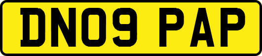 DN09PAP