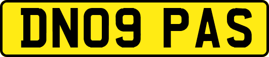 DN09PAS